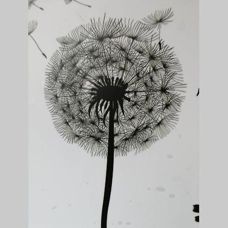Ferienwohnung Pusteblume Mueddersheim Vettweiss Екстериор снимка