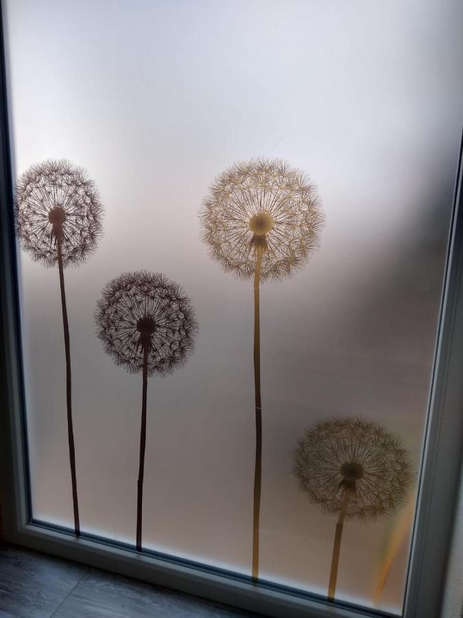 Ferienwohnung Pusteblume Mueddersheim Vettweiss Екстериор снимка